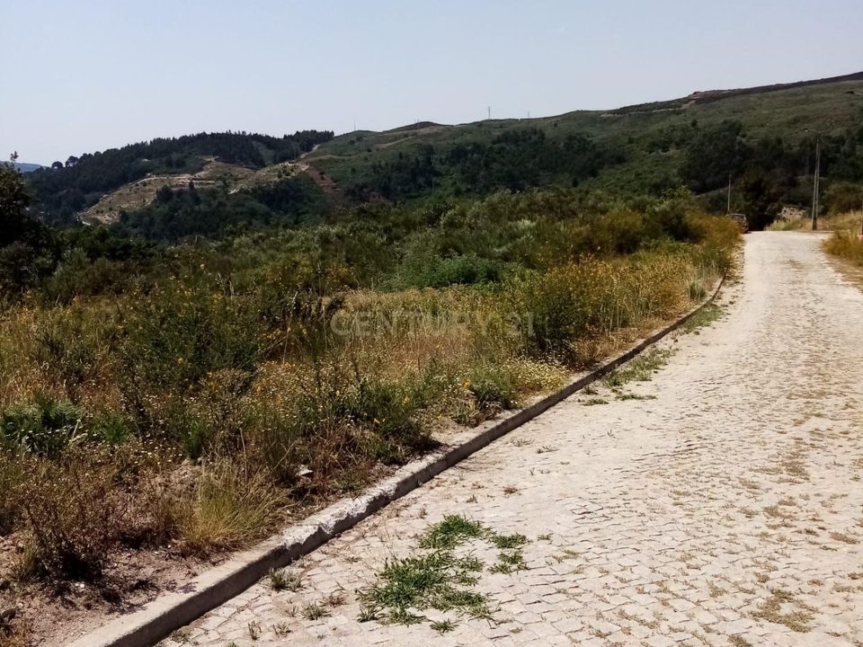 Terra a Grilo, Porto - foto 3