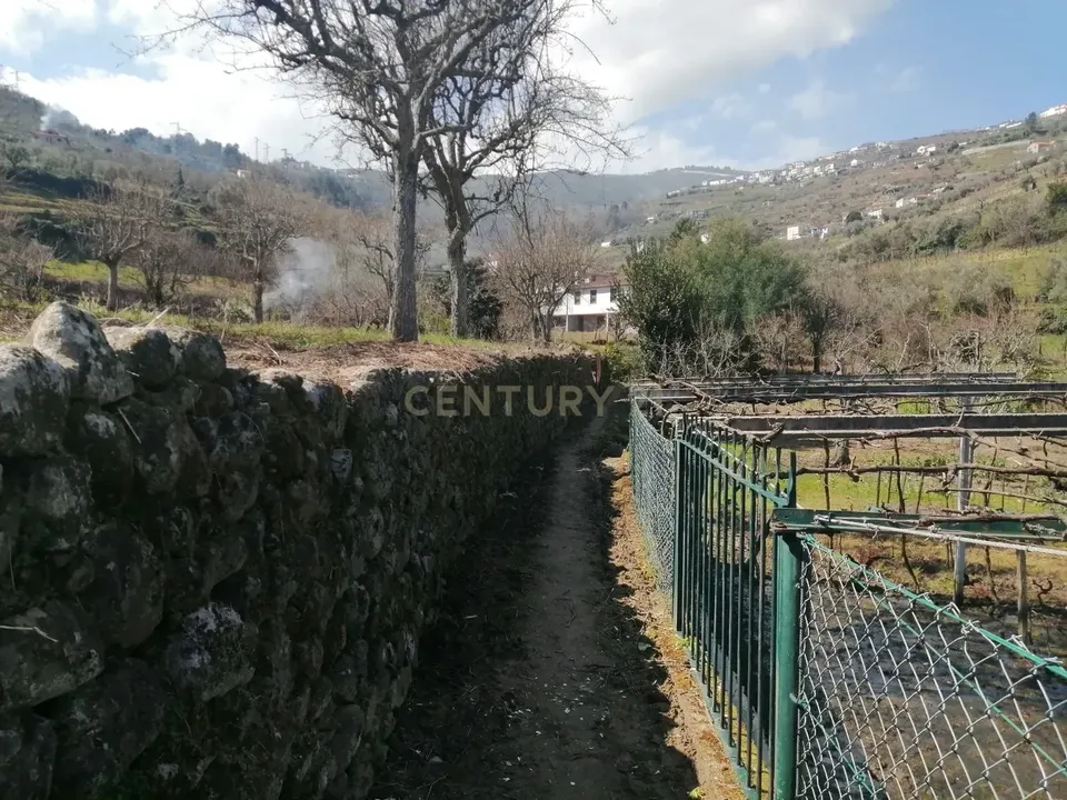 Farm hus i Lamego, Viseu - foto 3