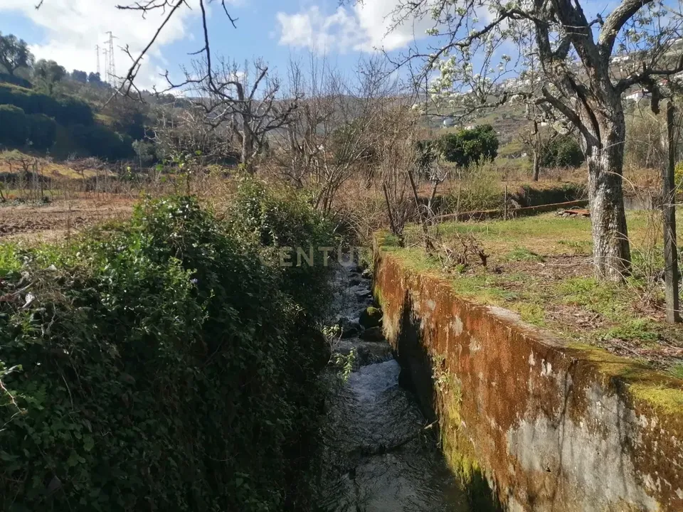 Farm hus i Lamego, Viseu - foto 5