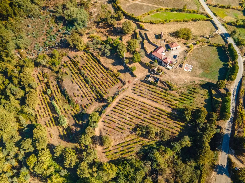 Masia a Grilo, Porto - foto 3