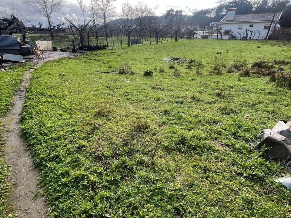 Helårsgrund i Travanca, Viseu - foto 5