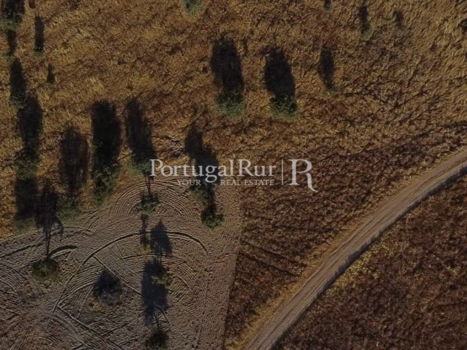 Helårsgrund i Evora, Evora - foto 3