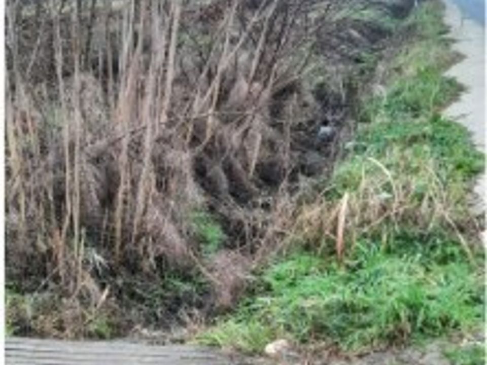 Helårsgrund i Strevi, Alessandria - foto 5