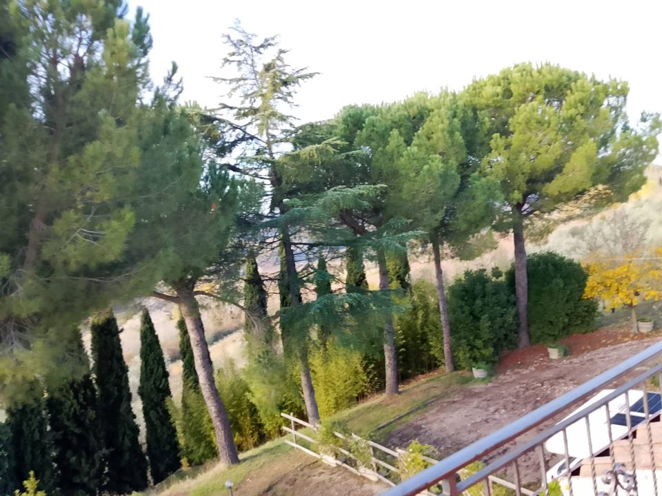 Landejendom i Montespertoli, Florence - foto 4
