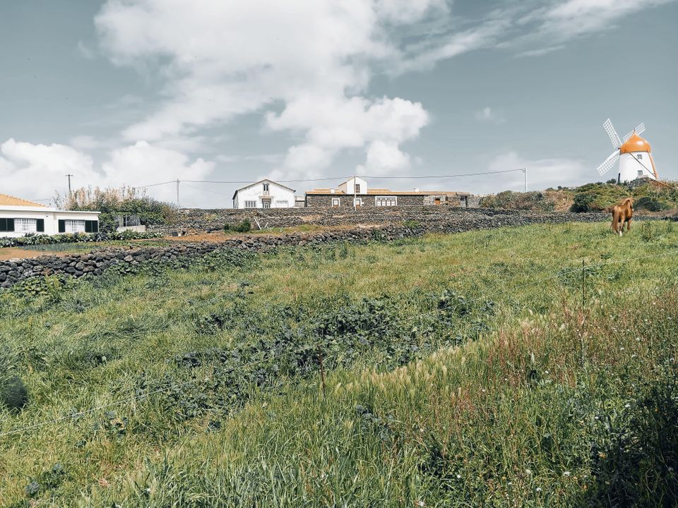 Terreno en Santa Cruz da Graciosa, Graciosa - foto 5