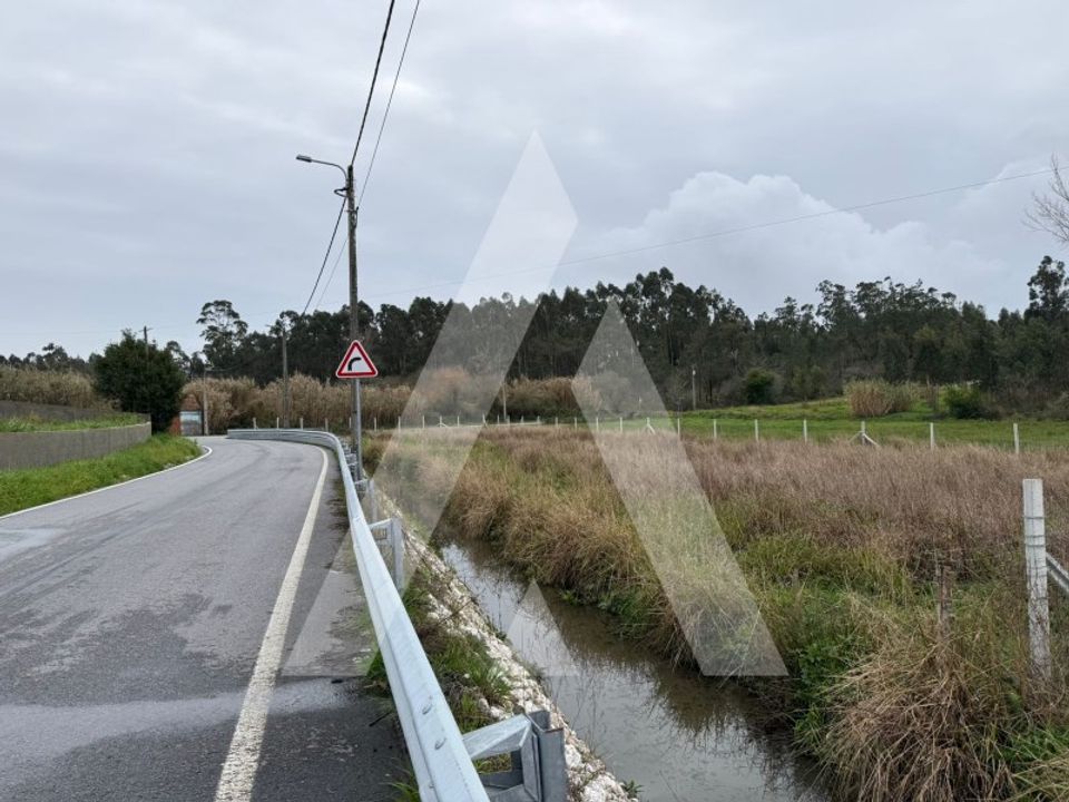 Tomt i Aveiro, Aveiro - bilde 5