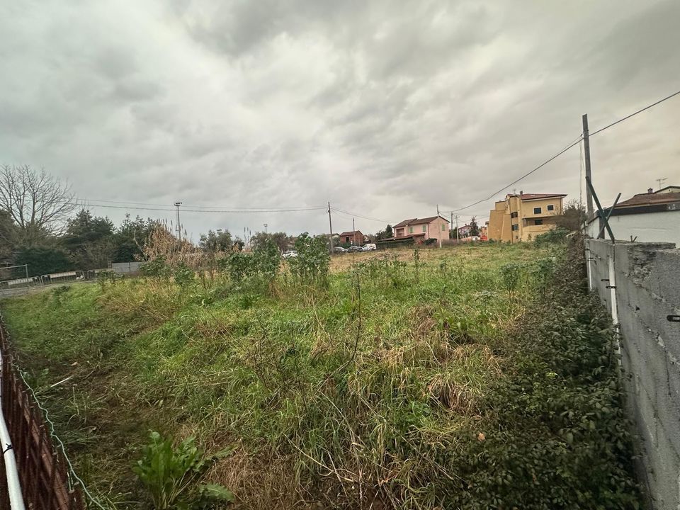 Tomt i Luni, La Spezia - bilde 5