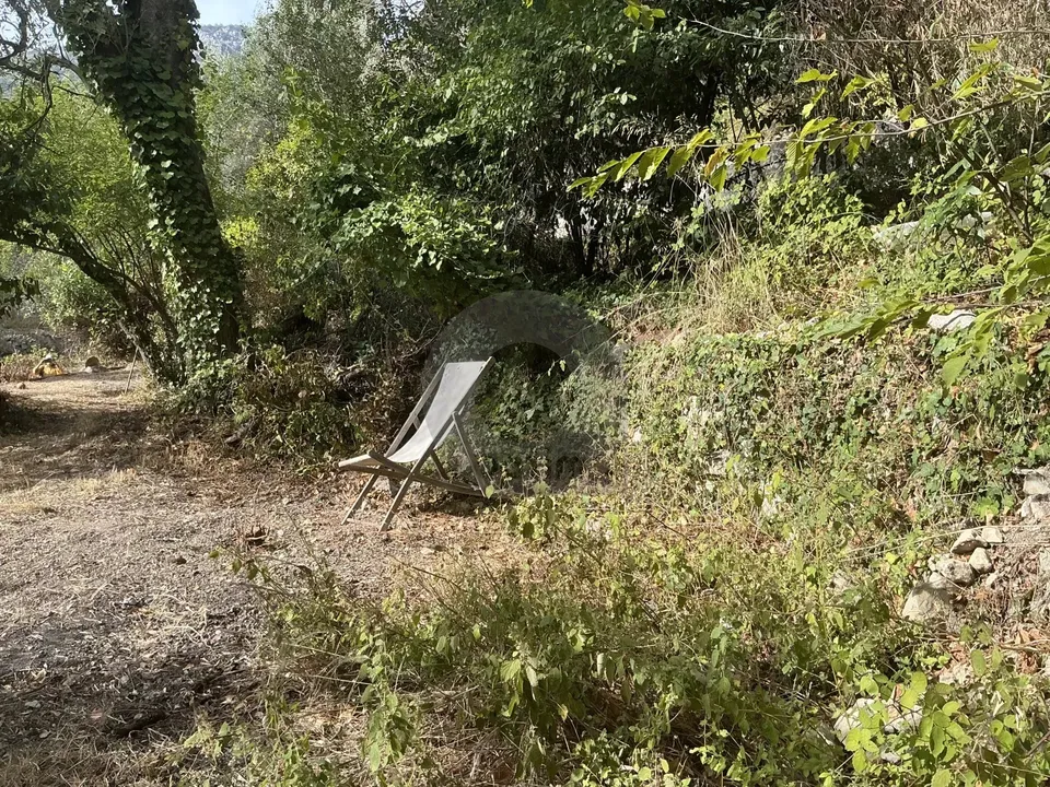 Helårsgrund i Gorbio, Alpes-Maritimes - foto 3