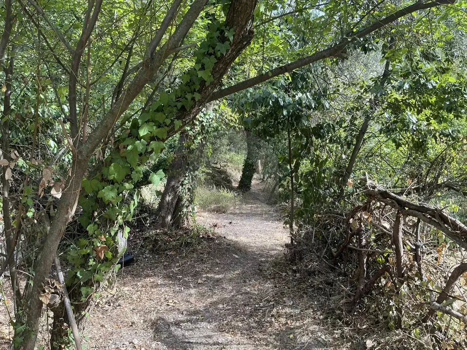 Helårsgrund i Gorbio, Alpes-Maritimes - foto 4