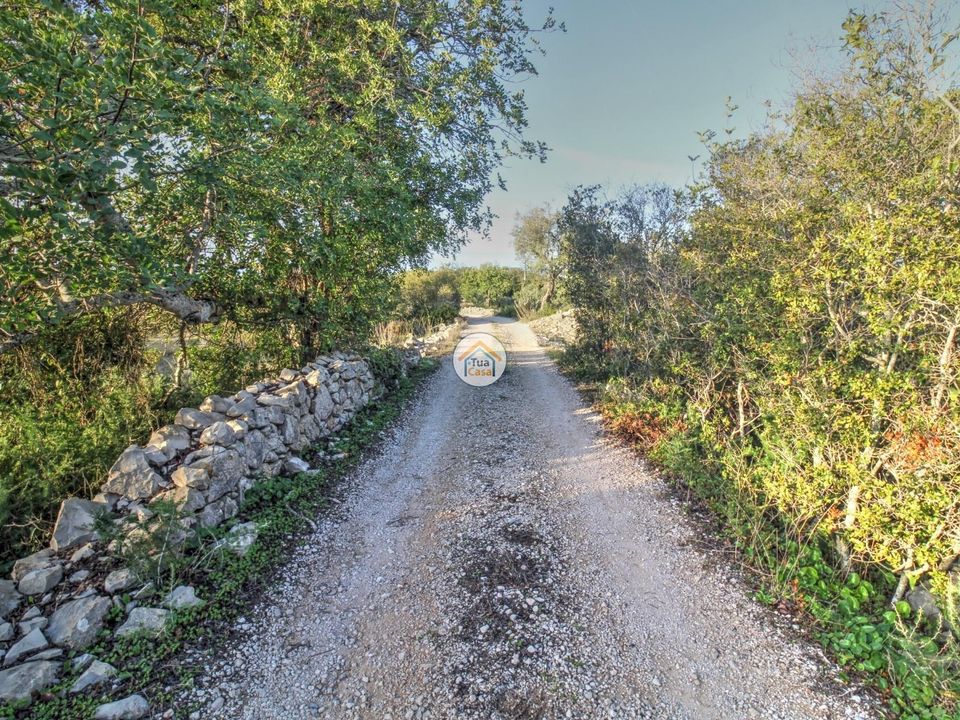 Helårsgrund i Faro, Faro - foto 2