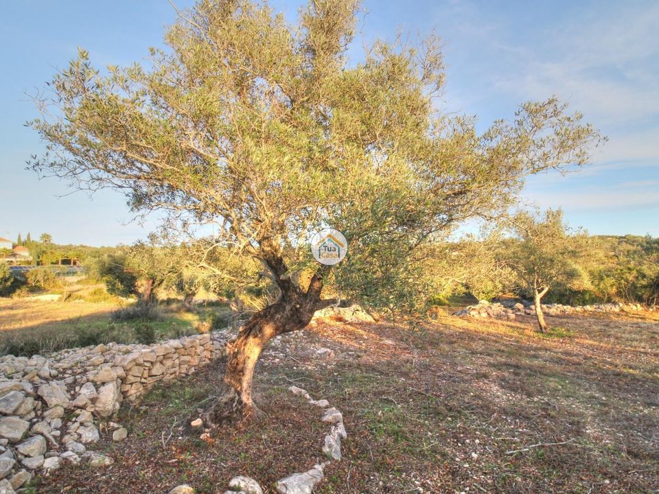 Helårsgrund i Faro, Faro - foto 5