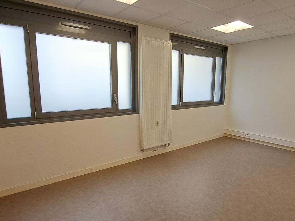 Erhvervsejendom i Saint-Rambert-en-Bugey, Ain - foto 3