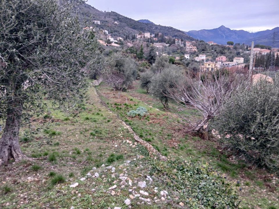 Terra a Chateauneuf-Villevieille, Alpes-Maritimes - foto 1