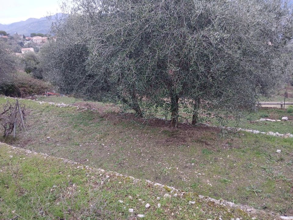 Terra a Chateauneuf-Villevieille, Alpes-Maritimes - foto 2