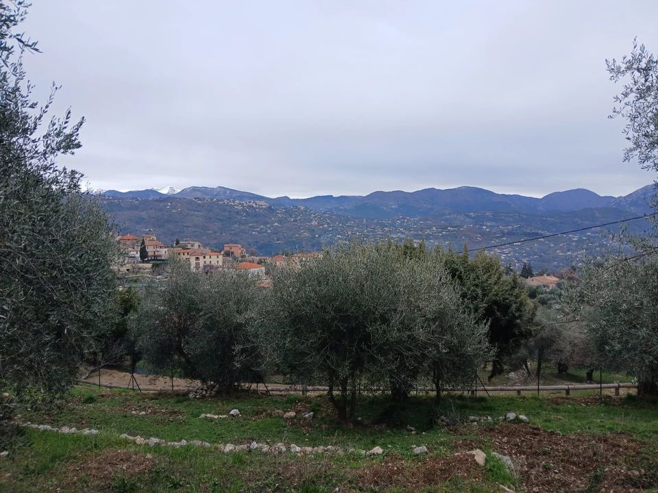 Terra a Chateauneuf-Villevieille, Alpes-Maritimes - foto 3
