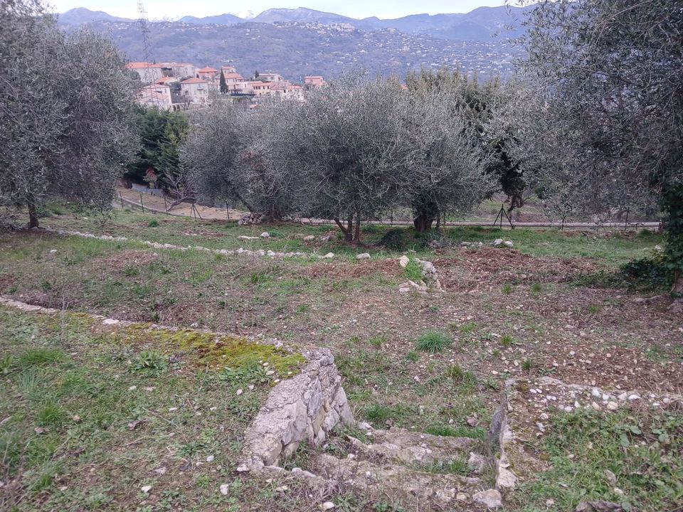 Terra a Chateauneuf-Villevieille, Alpes-Maritimes - foto 4