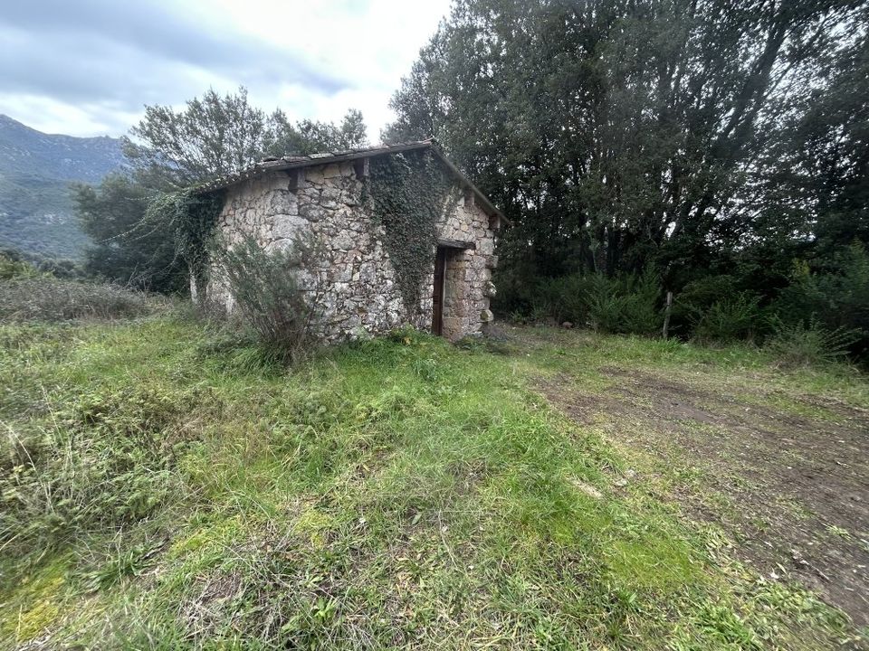 Tomt i Vero, Corse-du-Sud - bilde 1