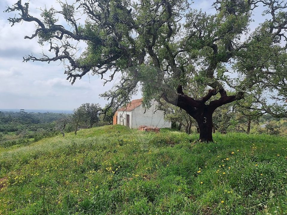 Farm hus i Santiago do Cacem, Setubal - foto 1