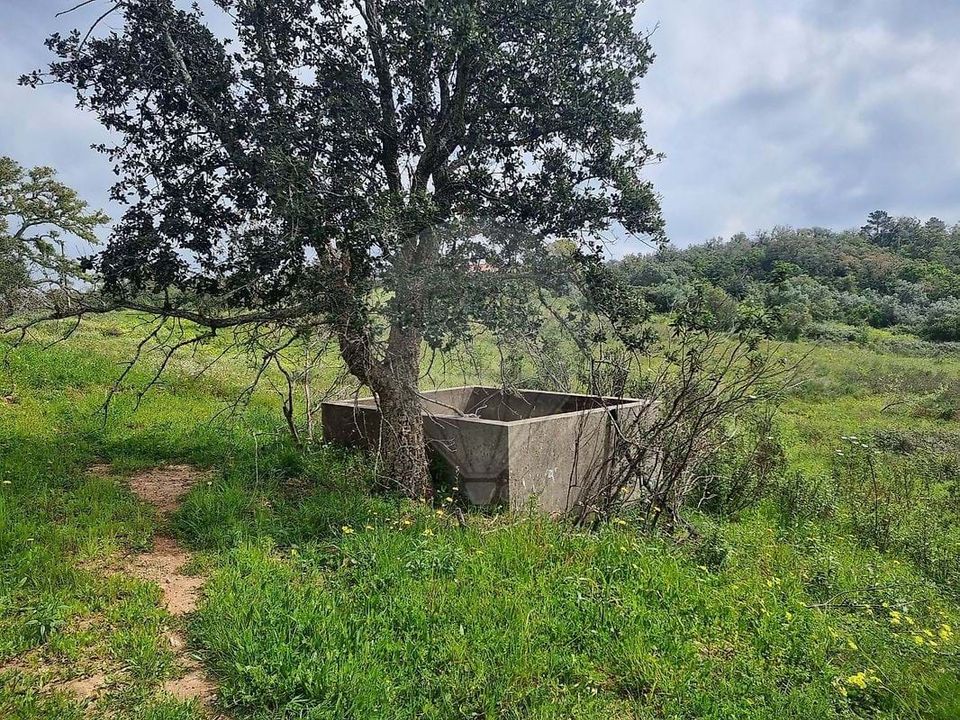Farm hus i Santiago do Cacem, Setubal - foto 3