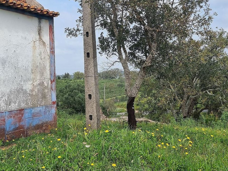 Farm hus i Santiago do Cacem, Setubal - foto 5
