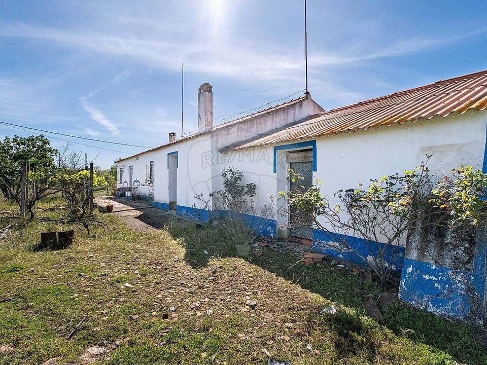 Gårdshus i Santiago do Cacem, Setubal - bilde 4