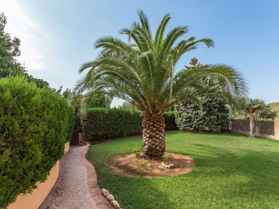 Lejlighed i Bendinat, Mallorca - foto 5