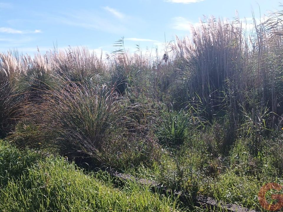 Helårsgrund i Motril, Granada - foto 1
