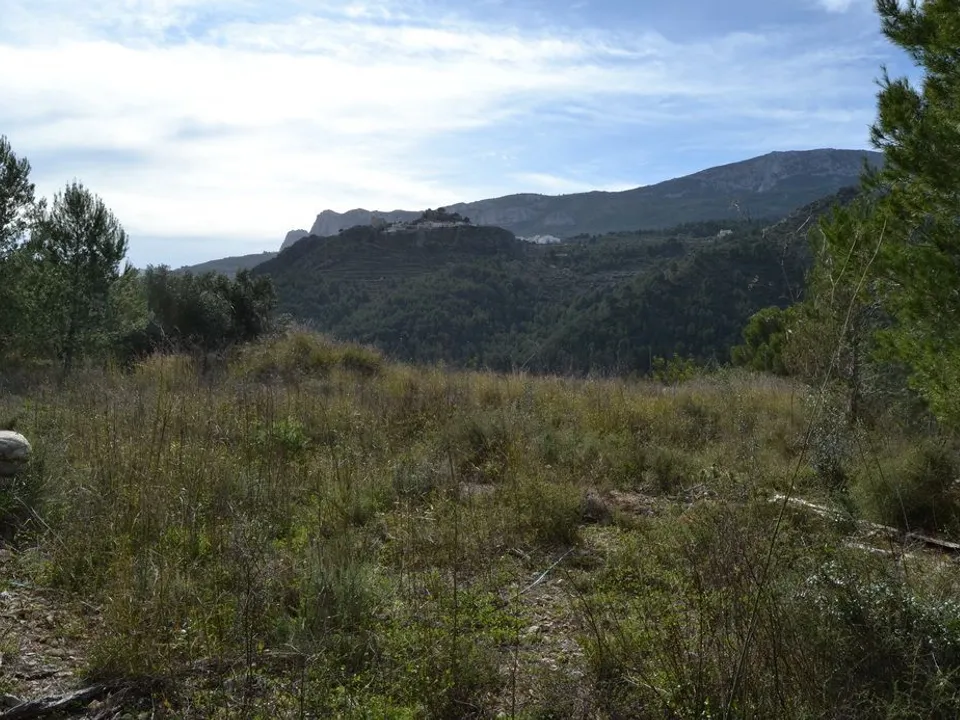 Terra a Beniarda, Alicante - foto 3