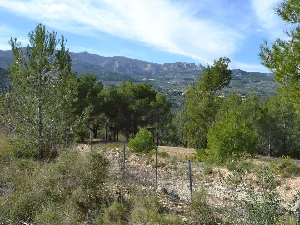 Terra a Beniarda, Alicante - foto 4