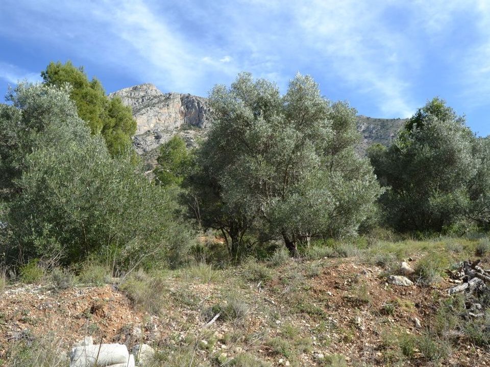 Terra a Beniarda, Alicante - foto 5