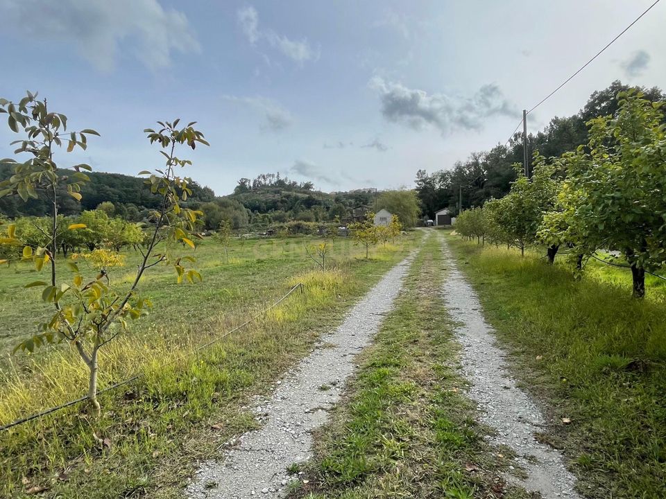 Tomt i Fundao, Castelo Branco - bilde 3