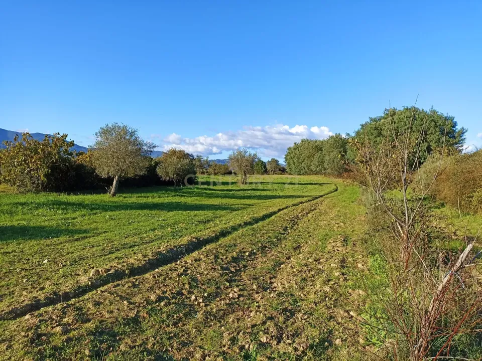 Helårsgrund i Covilha, Castelo Branco - foto 2