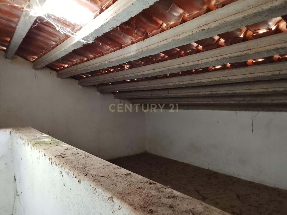 Villa i Nisa, Portalegre - foto 5
