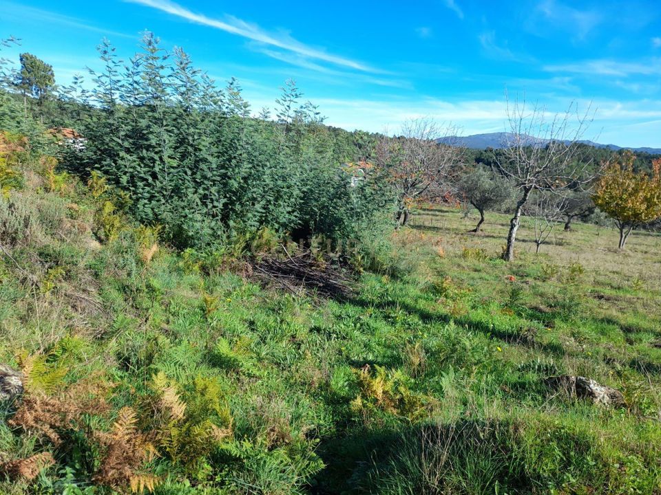 Helårsgrund i Castelo Branco, Castelo Branco - foto 4