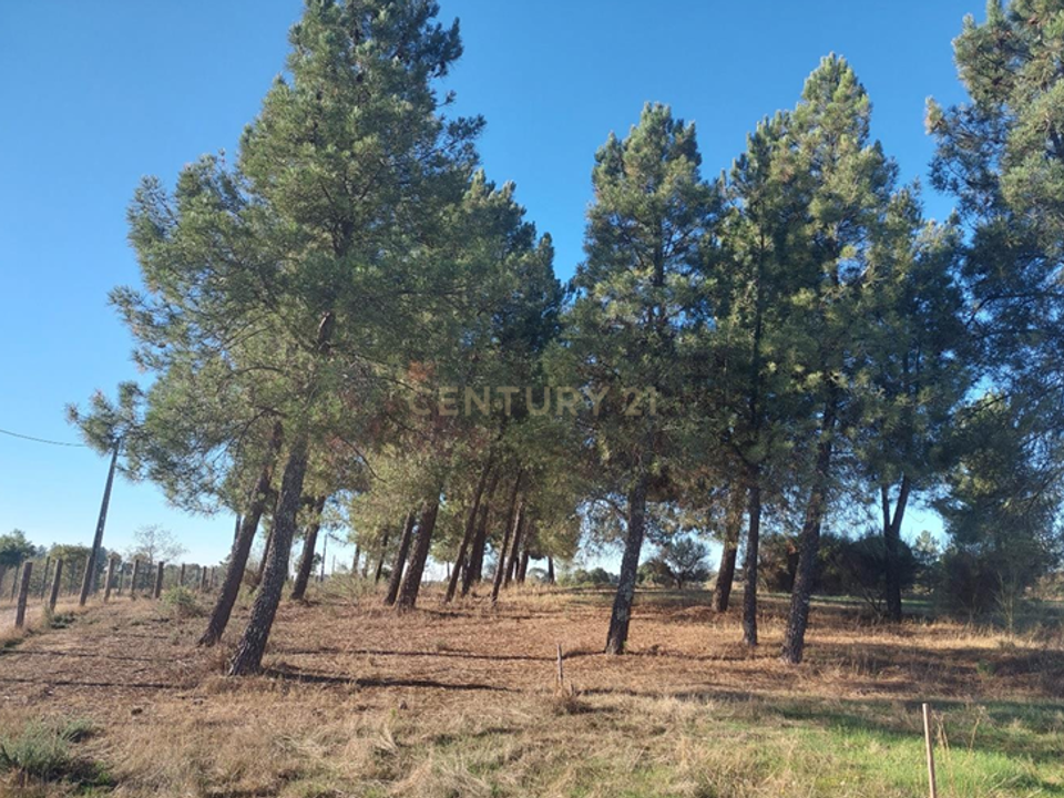 Farm hus i Fundao, Castelo Branco - foto 5
