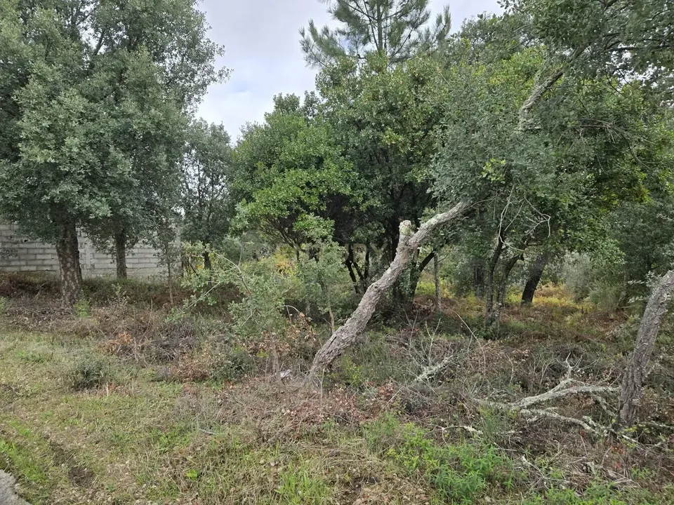 Helårsgrund i Serta, Castelo Branco - foto 1