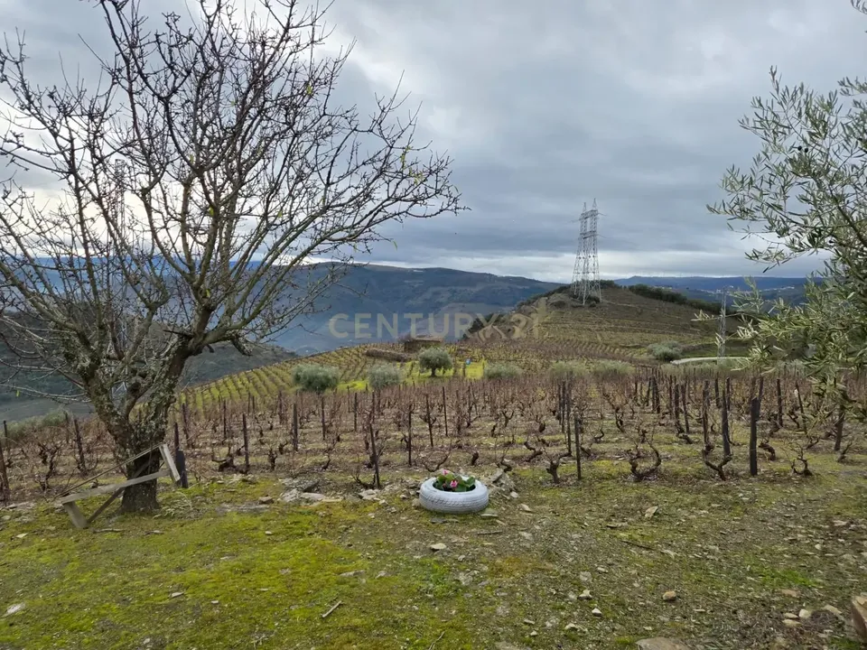 Helårsgrund i Sao Joao da Pesqueira, Viseu - foto 1