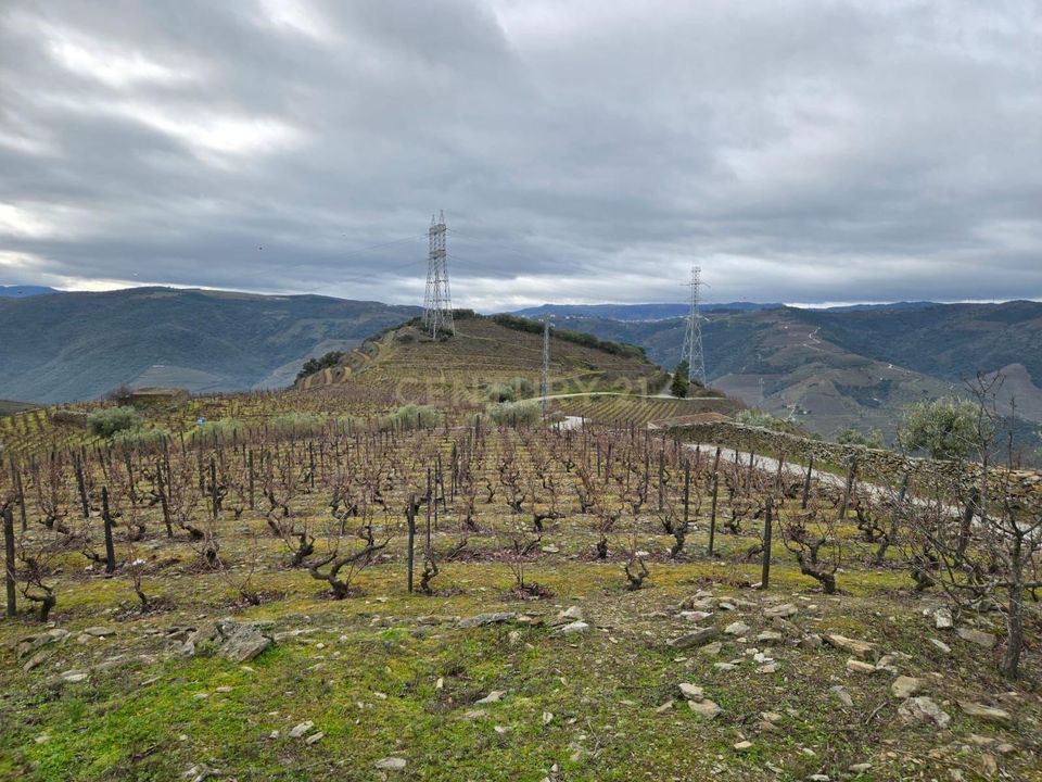 Helårsgrund i Sao Joao da Pesqueira, Viseu - foto 3