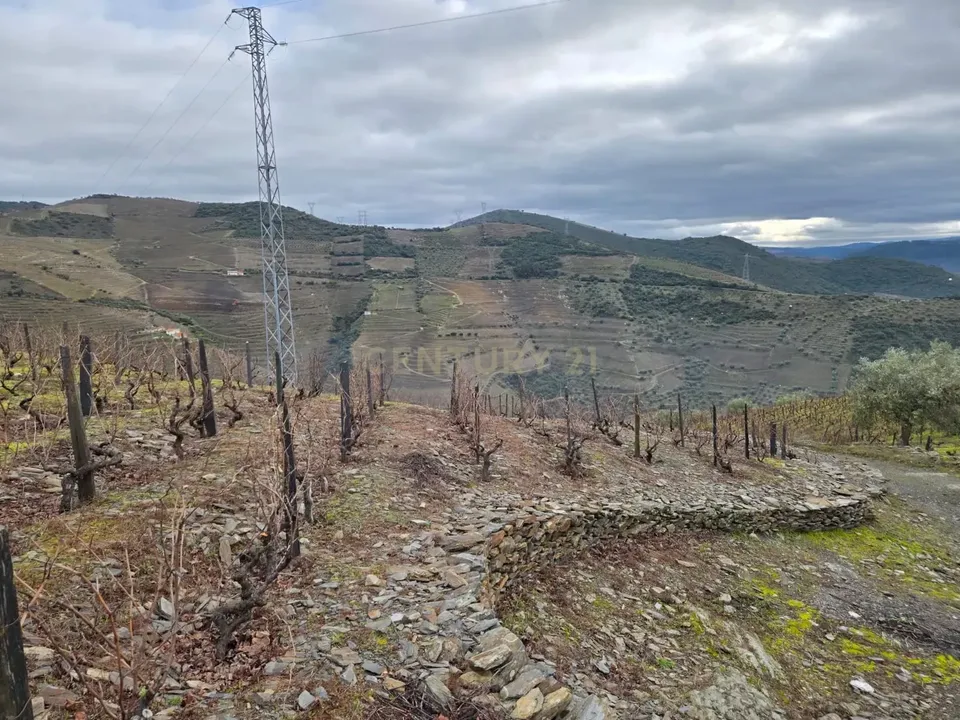 Helårsgrund i Sao Joao da Pesqueira, Viseu - foto 5