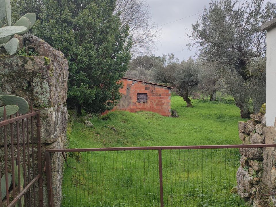 Helårsgrund i Castelo Branco, Castelo Branco - foto 4