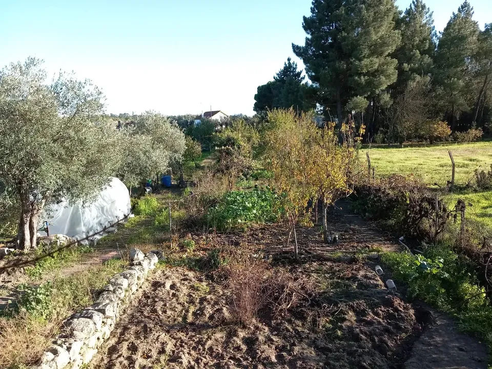 Farm hus i Castelo Branco, Castelo Branco - foto 1