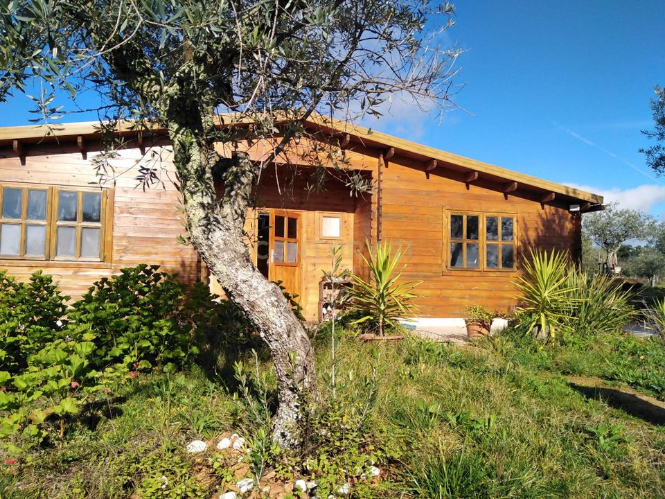 Farm hus i Escalos de Baixo, Castelo Branco - foto 2