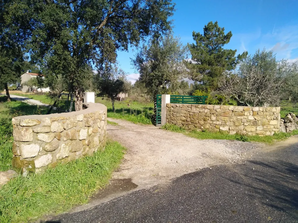 Farm hus i Escalos de Baixo, Castelo Branco - foto 4