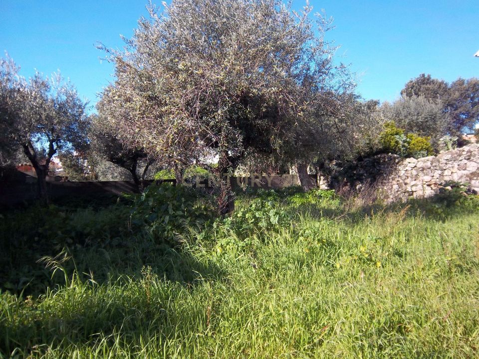 Helårsgrund i Castelo Branco, Castelo Branco - foto 3
