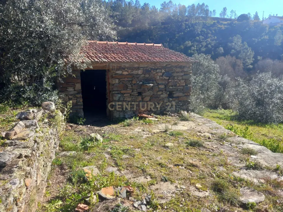 Helårsgrund i Castelo Branco, Castelo Branco - foto 1