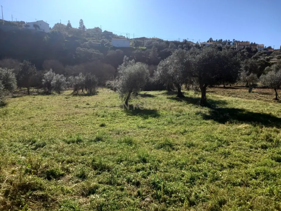 Helårsgrund i Castelo Branco, Castelo Branco - foto 4