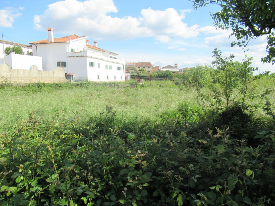 Tomt i Escalos de Baixo, Castelo Branco - bilde 4