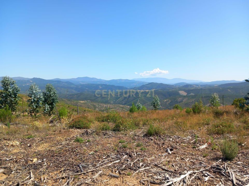 Helårsgrund i Amieira, Castelo Branco - foto 1
