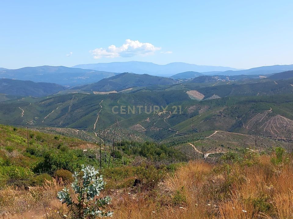 Helårsgrund i Amieira, Castelo Branco - foto 4