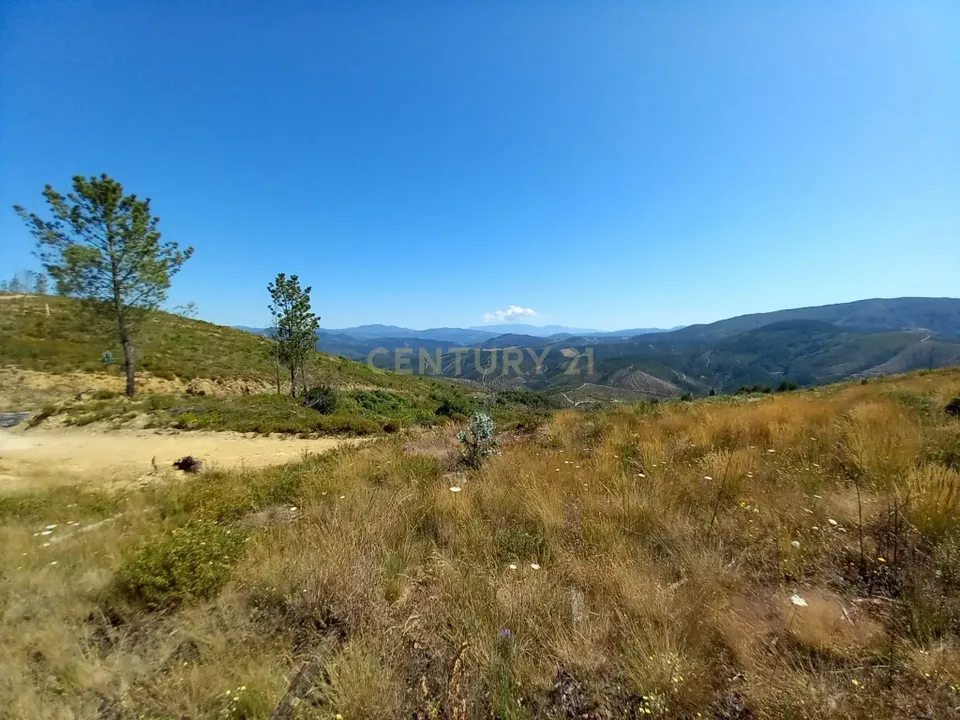 Helårsgrund i Amieira, Castelo Branco - foto 1